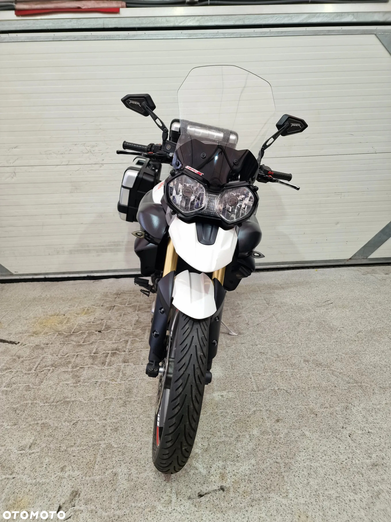 Triumph Tiger - 16