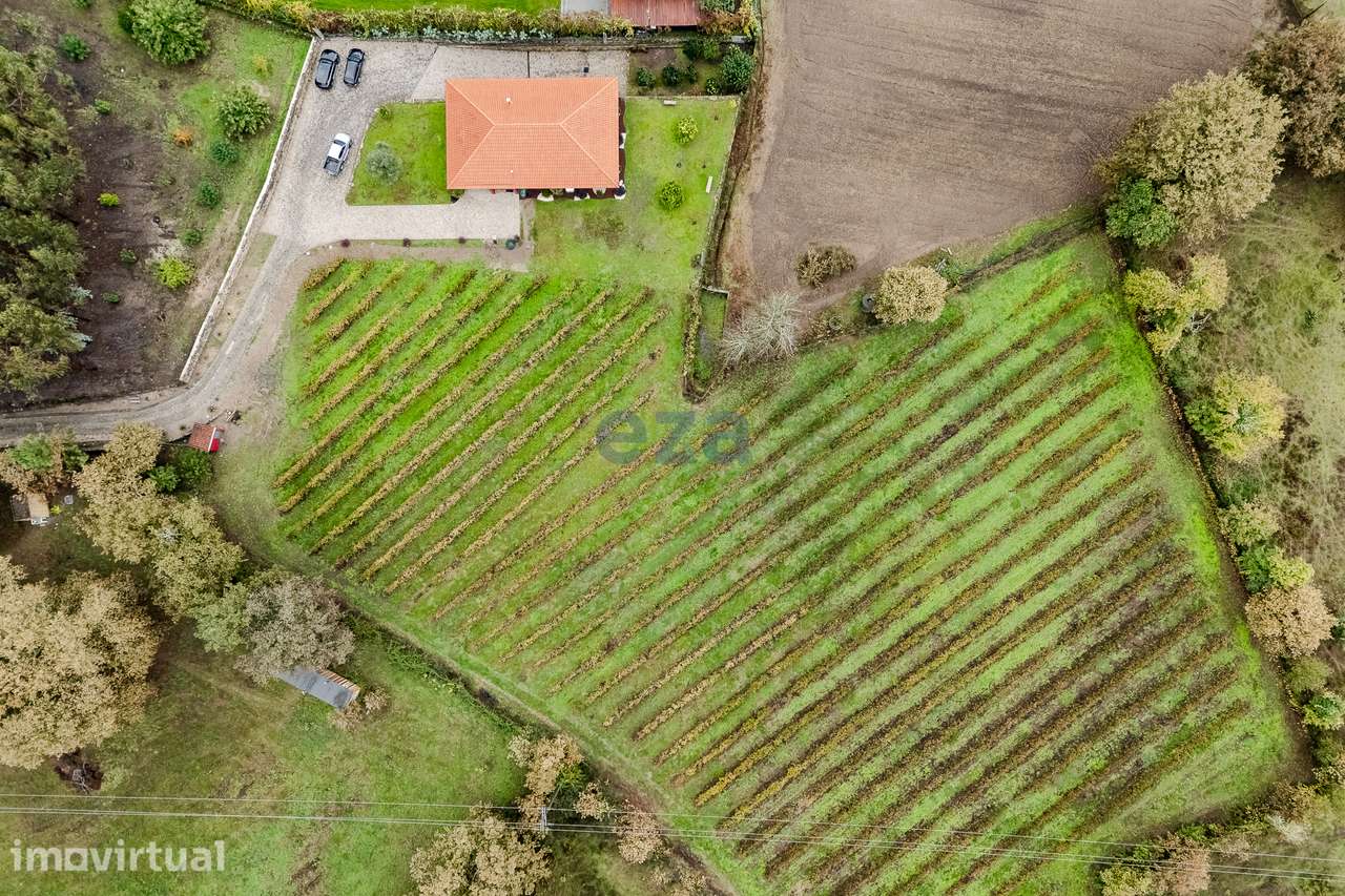 Moradia T3 em Calvos, Póvoa de Lanhoso. - Grande imagem: 2/26