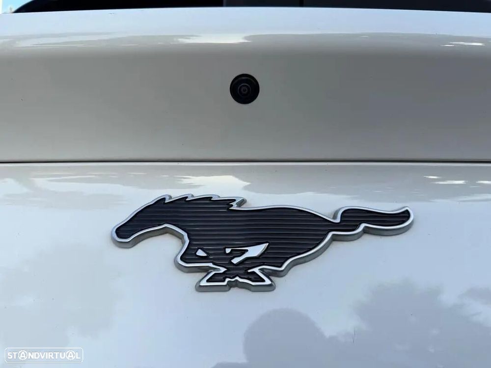 Ford Mustang Mach-E Standard - 55