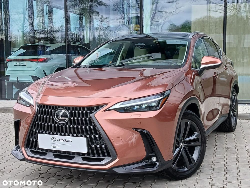 Lexus NX - 13