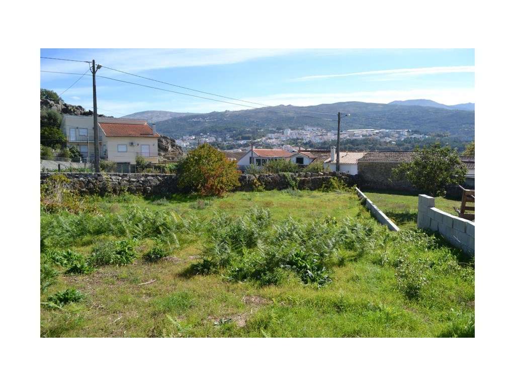 MORADIA EM PEDRA COM VISTAS PARA A SERRA DA ESTRELA SANTIAGO SEIA - Grande imagem: 4/19
