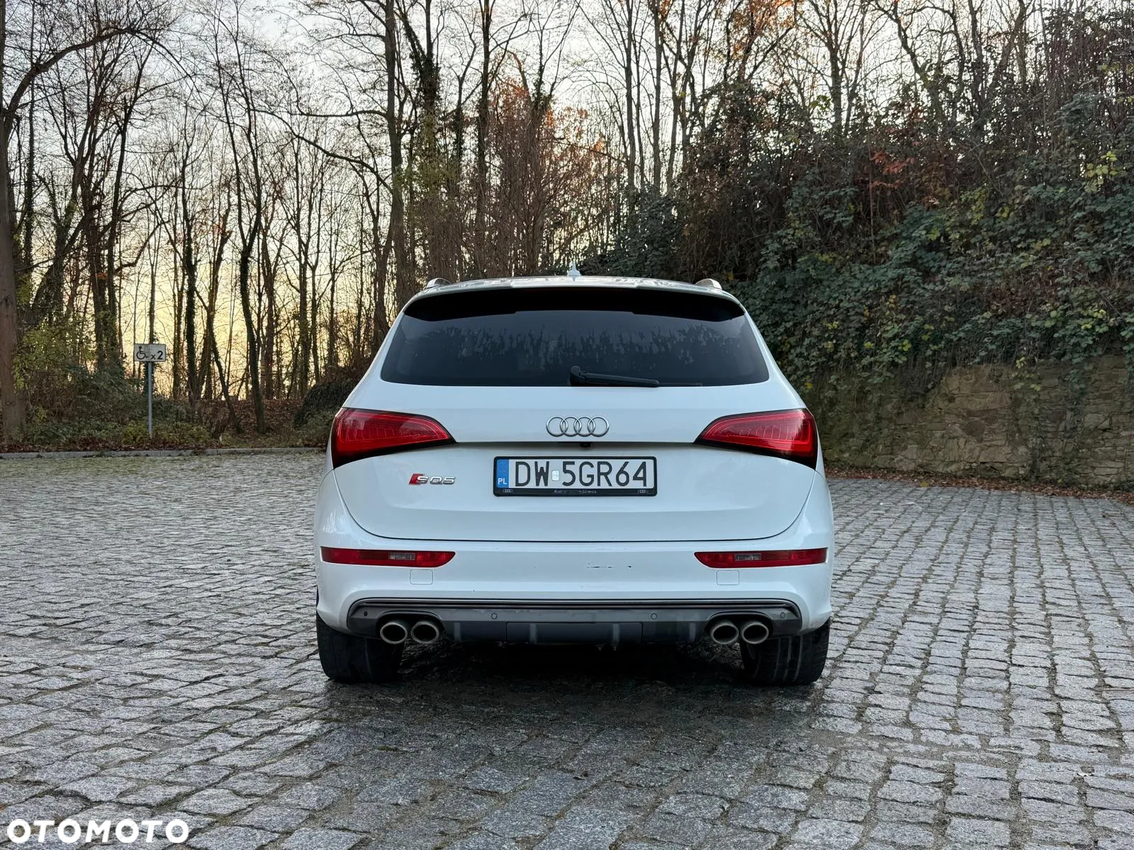 Audi SQ5 - 5