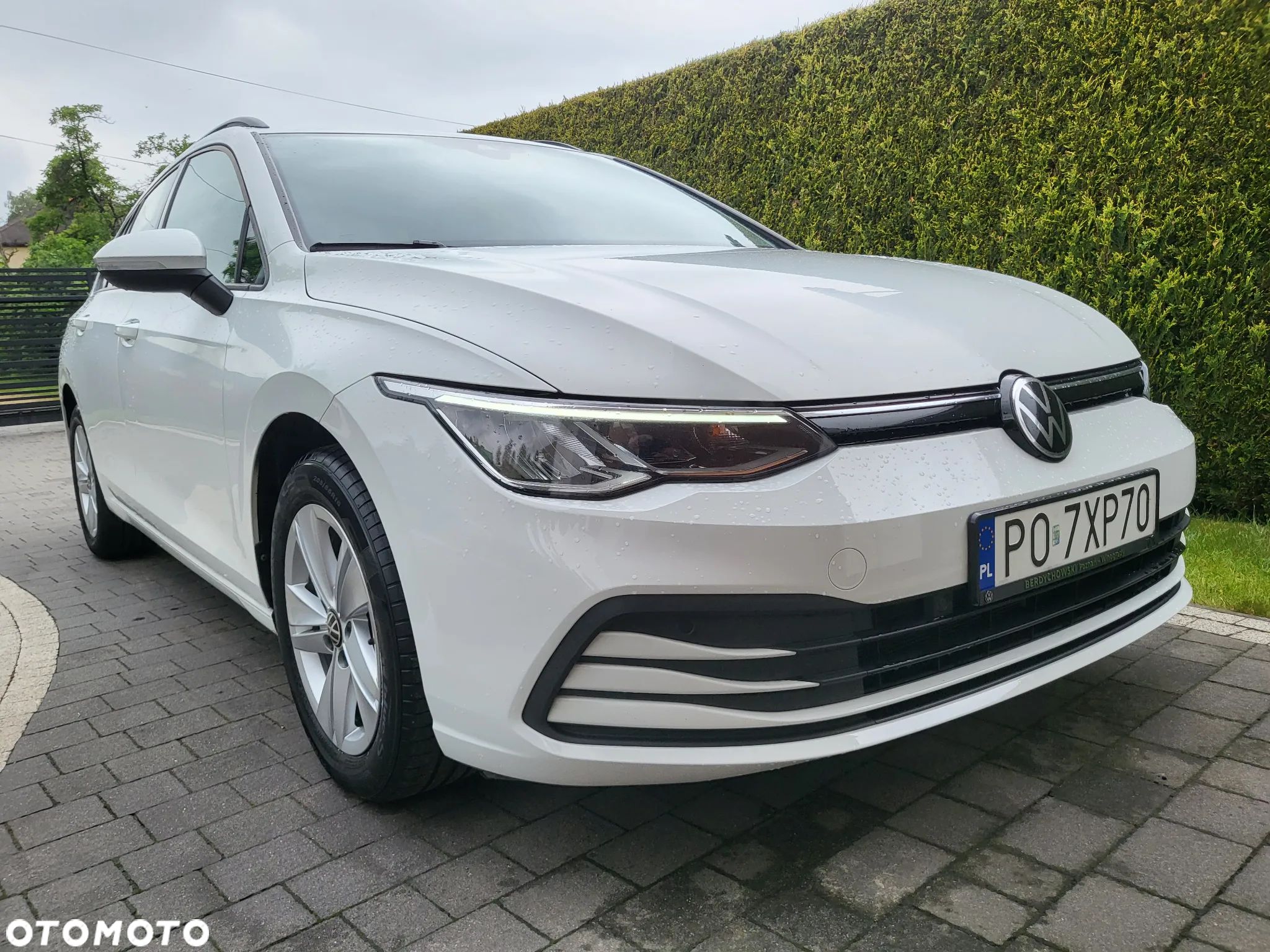 Volkswagen Golf VIII 1.0 TSI Life - 1