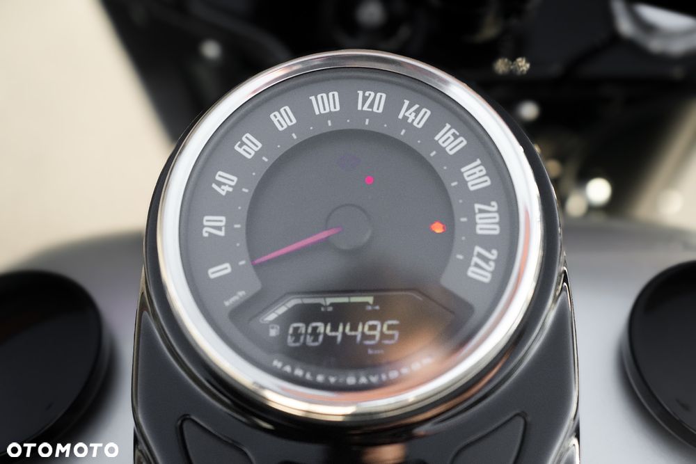 Harley-Davidson Softail - 34