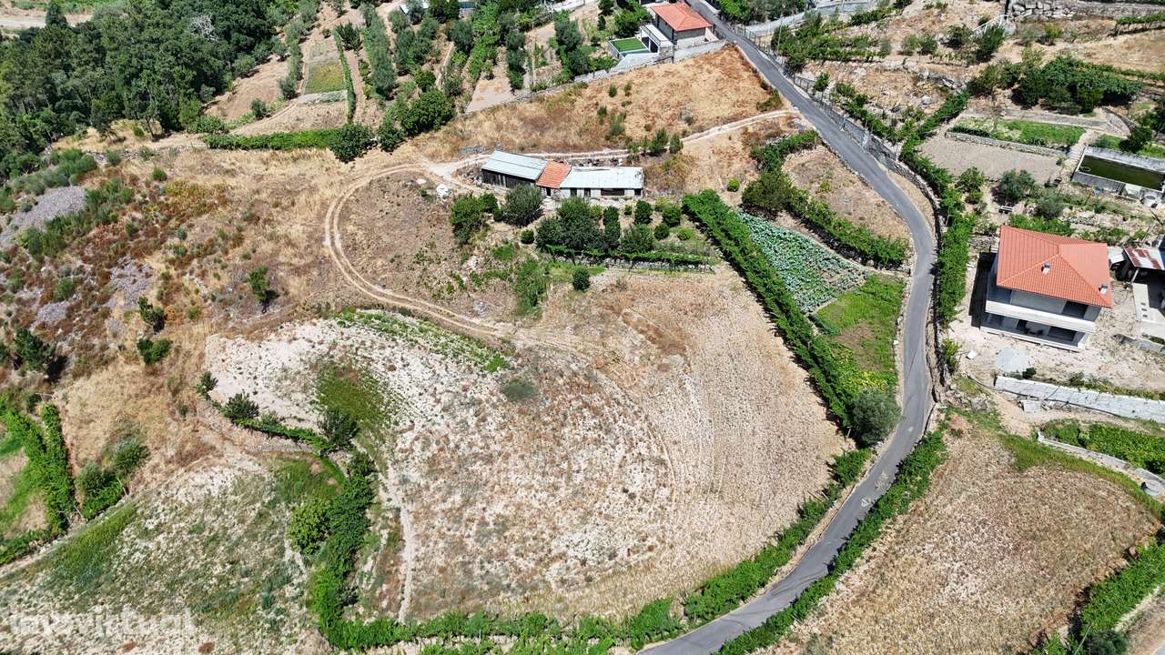 Quinta da Portinha, para projeto agrícola, em S. Tomé de Covelas perto - Grande imagem: 2/16