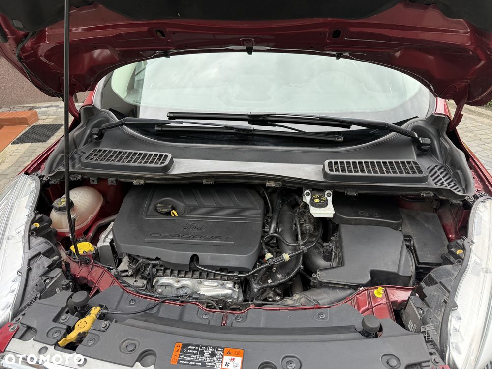 Ford Kuga 1.5 EcoBoost FWD Trend ASS MMT6 - 15