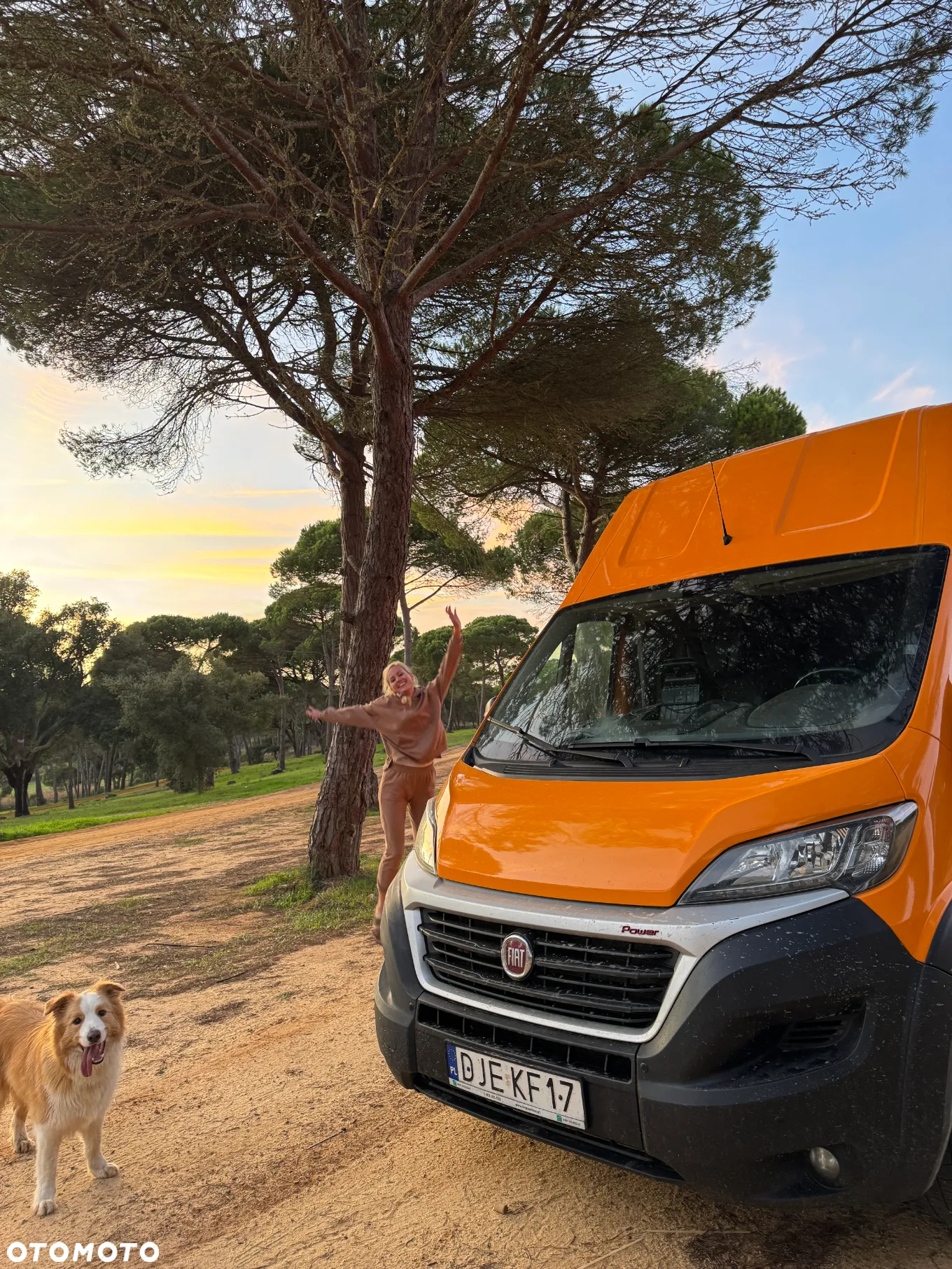 Fiat Ducato - 32