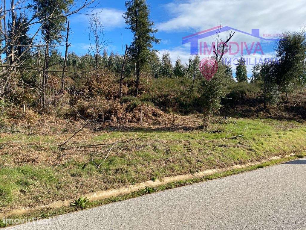 Terreno com 4700 m2 - Grande imagem: 3/8