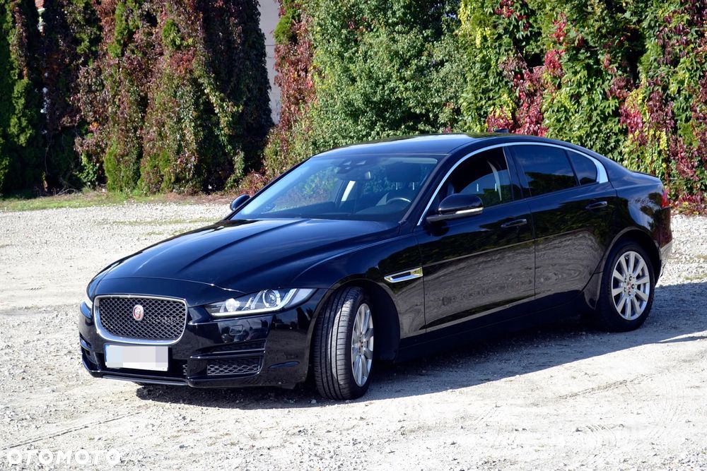 Jaguar XE - 6