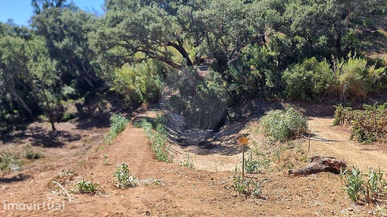 Terreno  para venda - Grande imagem: 2/15
