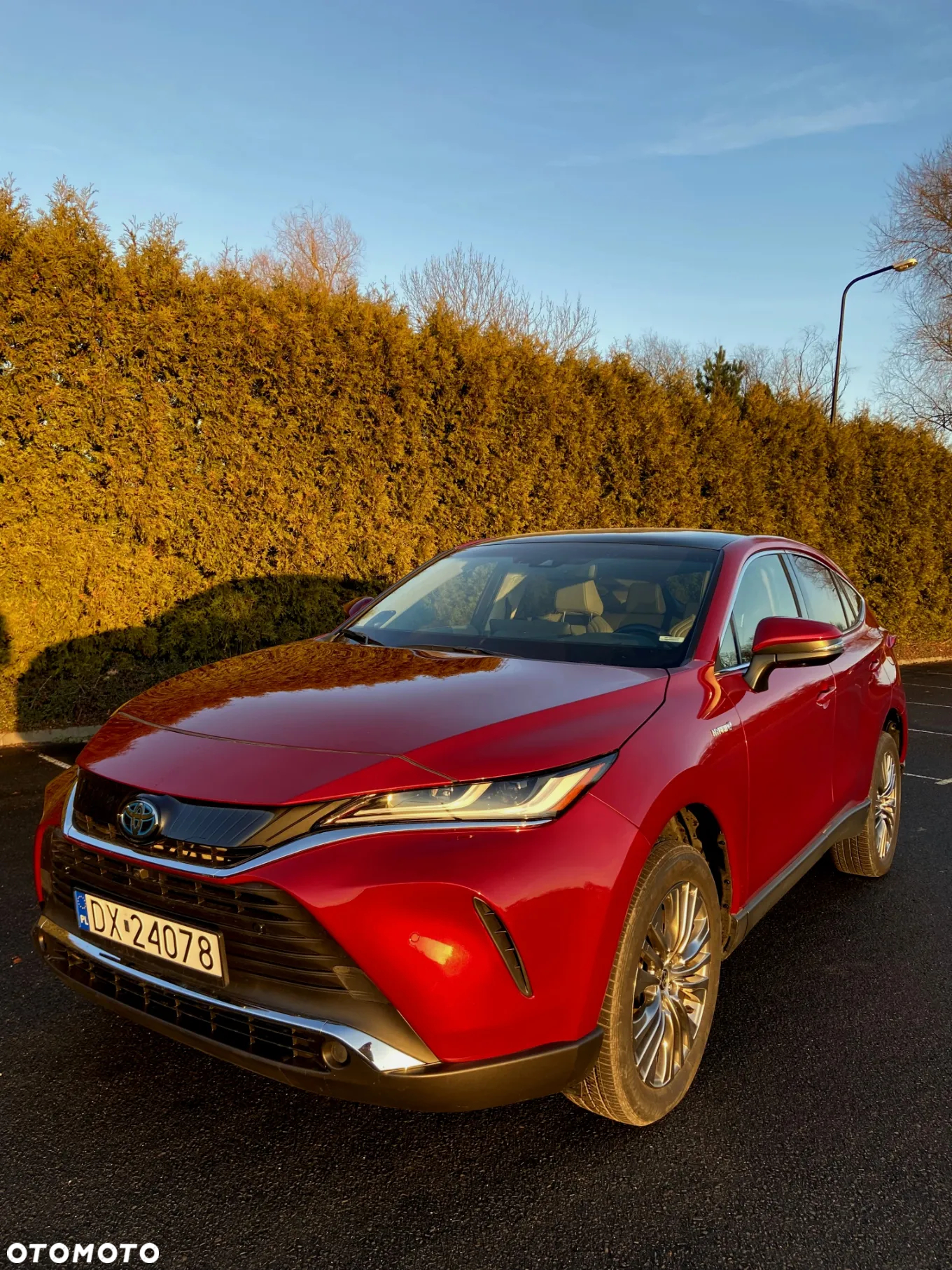 Toyota Venza - 10