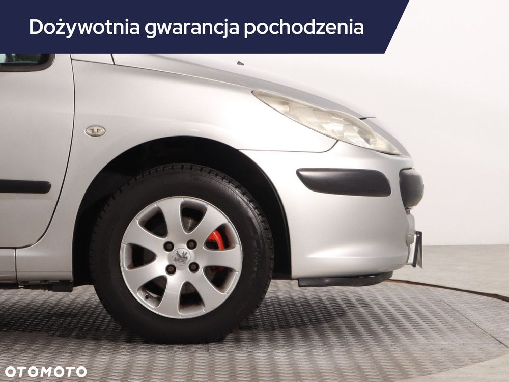 Peugeot 307 - 17