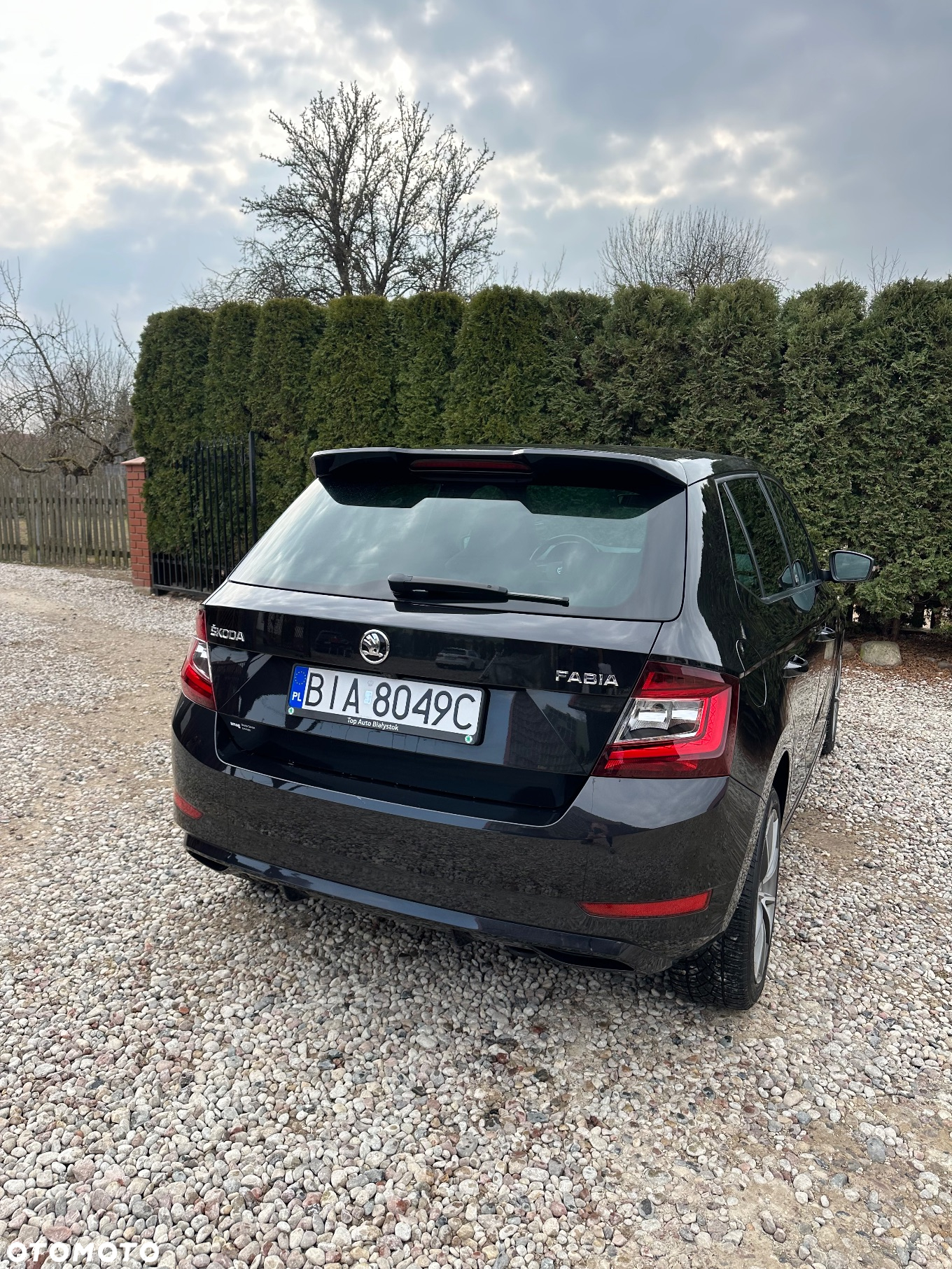 Skoda Fabia 1.0 TSI Monte Carlo - 8