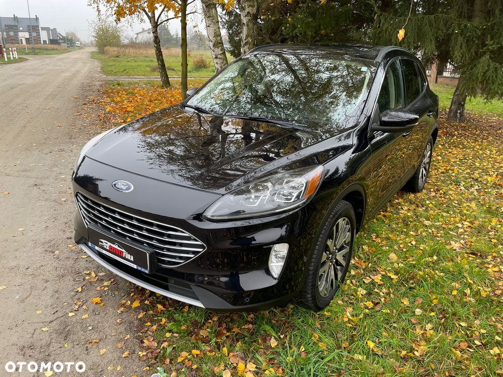 Ford Escape - 6