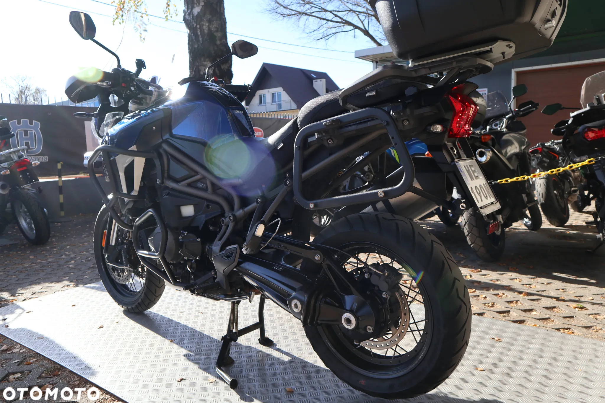 Triumph Tiger - 12