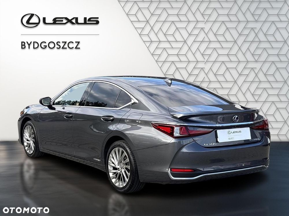 Lexus ES 300h Omotenashi - 4