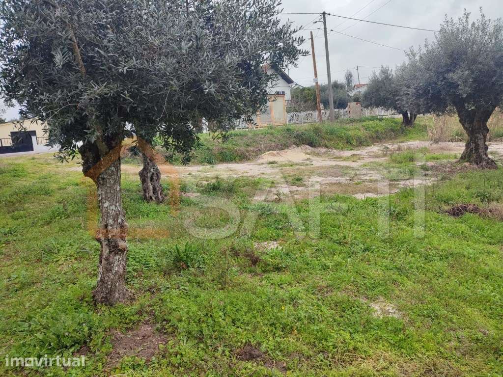 Terreno Misto para Venda - Urqueira, Ourém - Grande imagem: 5/12
