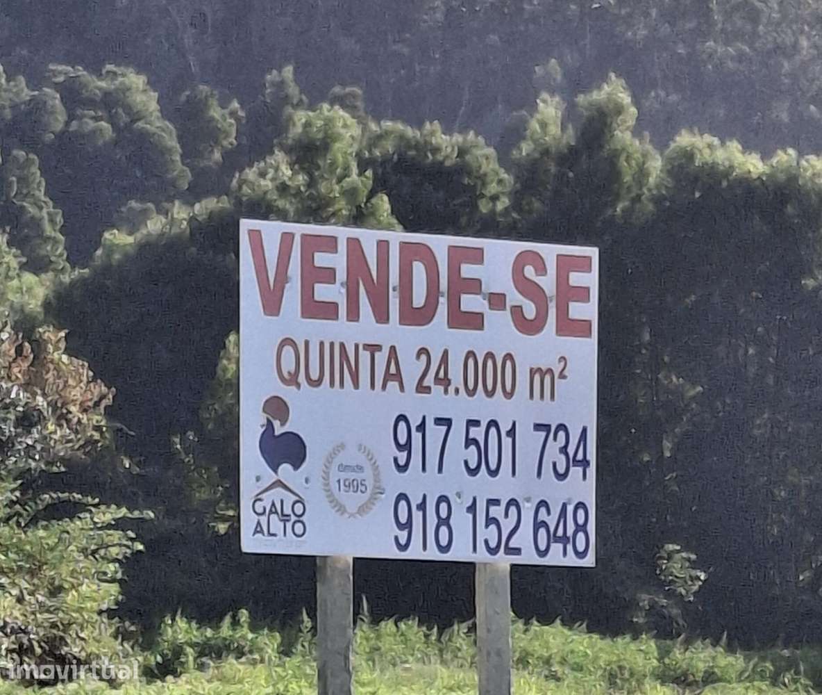 Terreno para construção com 24.000m2, face EN222 Arcos Sardão. - Grande imagem: 2/20