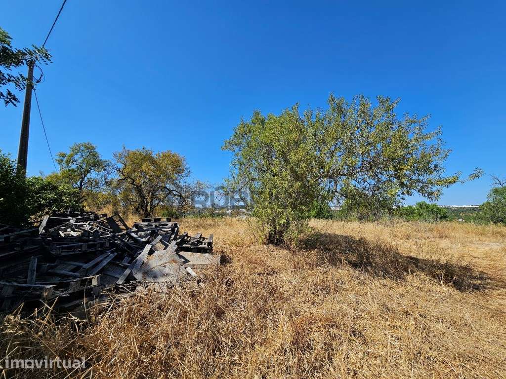 Casa com herdade de 30 mil m2 a sul de Loulé com enorme potencial - Grande imagem: 4/18