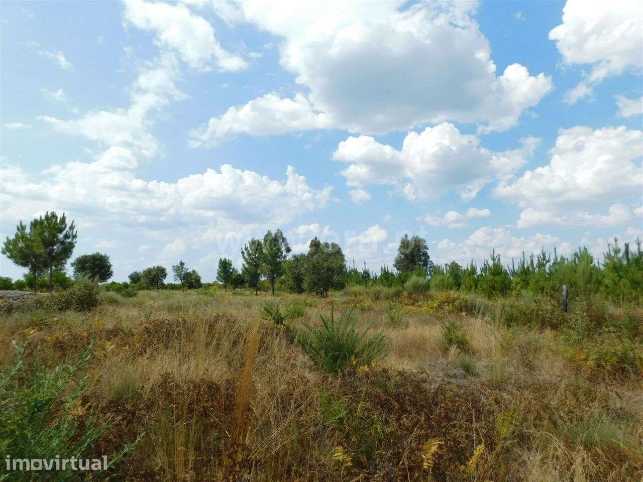 Quinta / Seia, Santa Comba - Grande imagem: 4/20