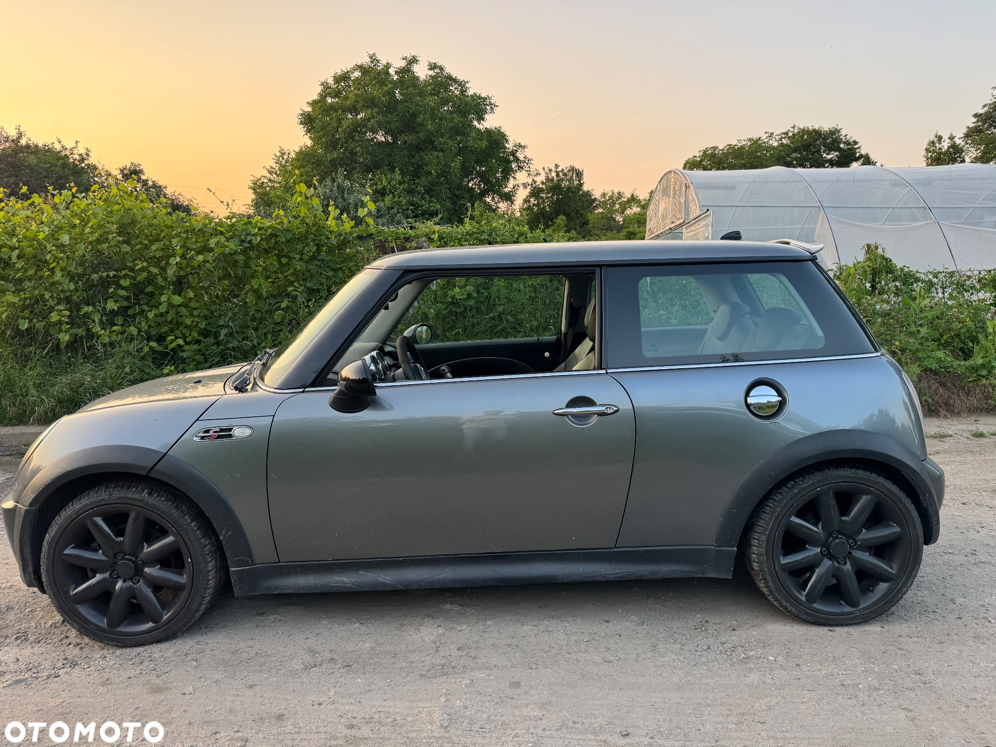 MINI Cooper S chili - 3