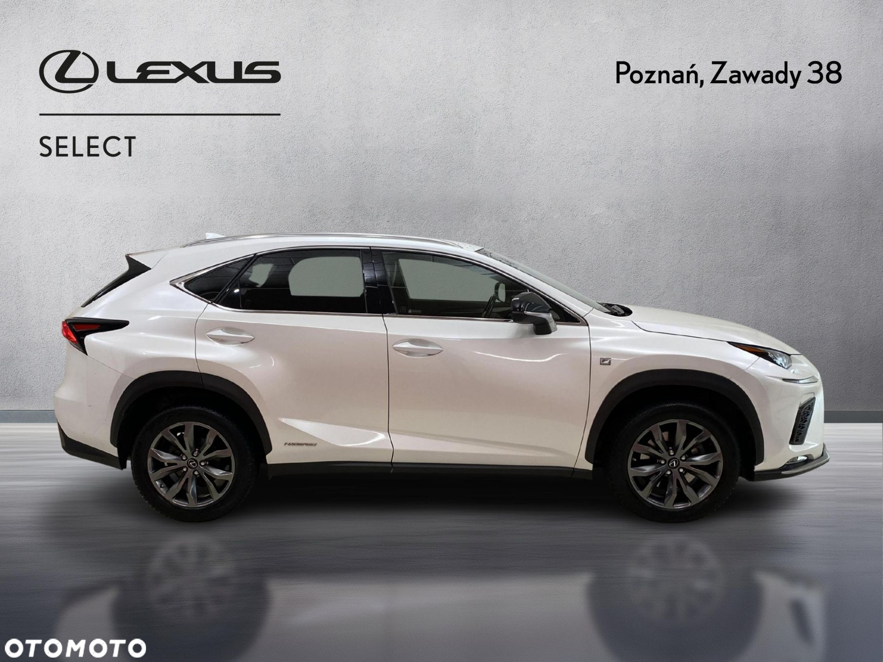 Lexus NX 300h F Sport Edition AWD - 6