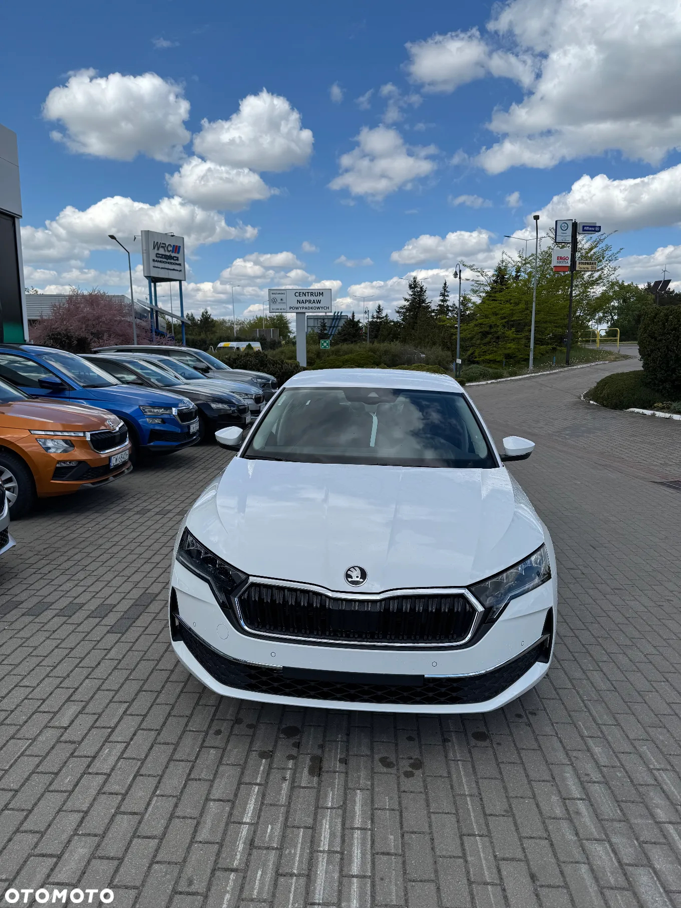 Skoda Octavia - 3