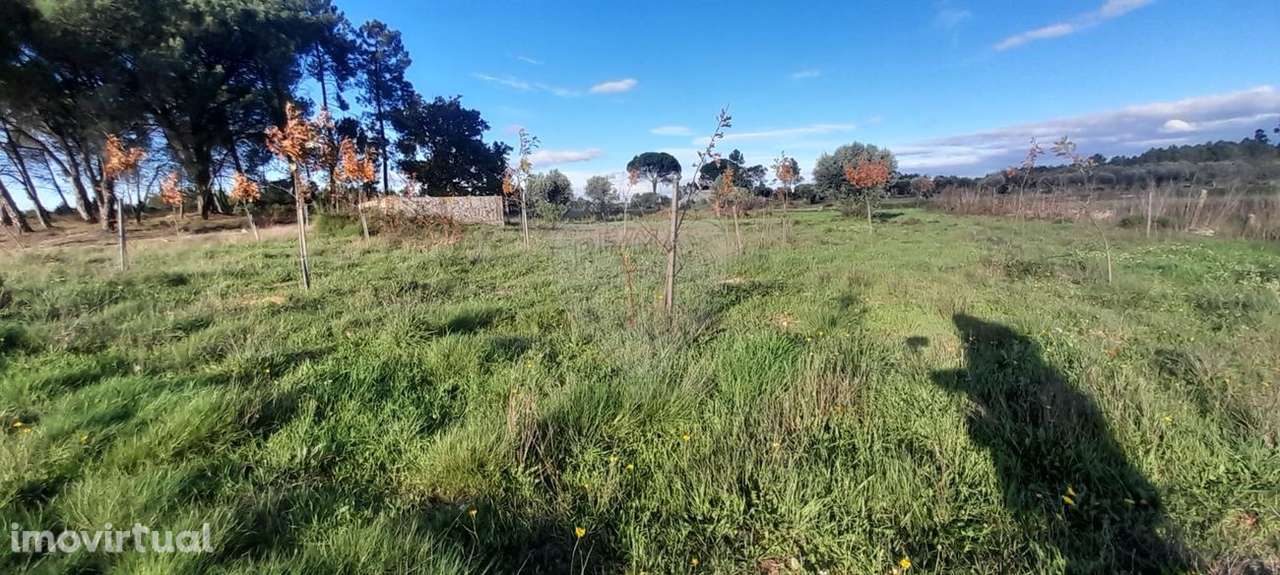 Quinta  para venda - Grande imagem: 4/11