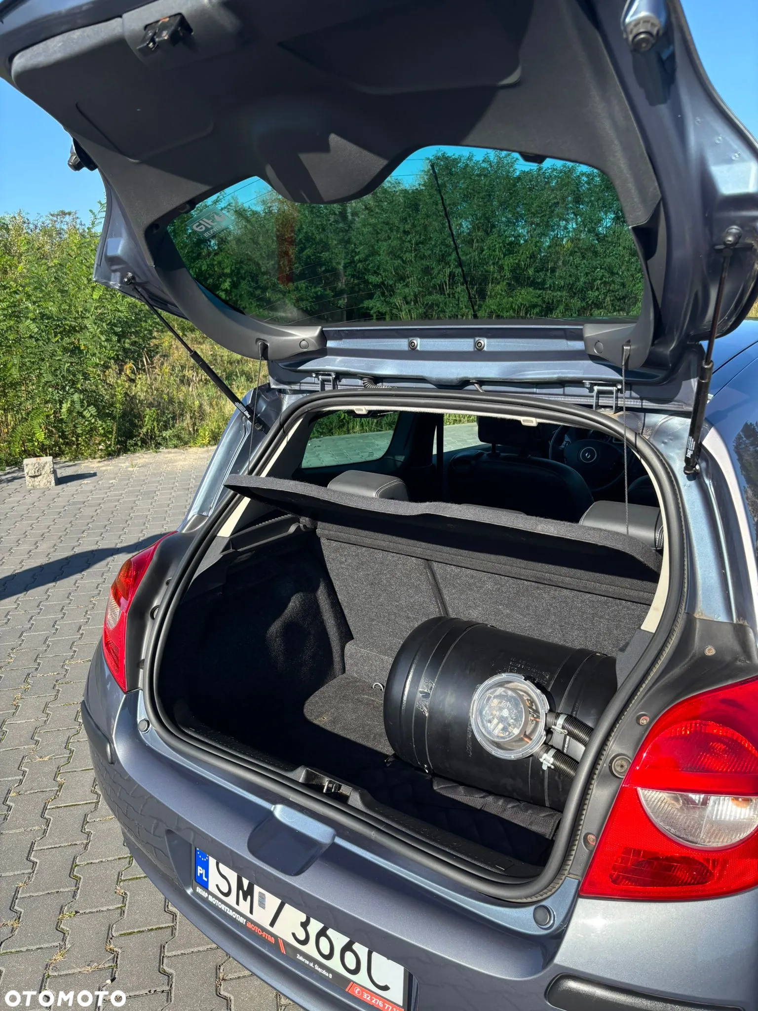 Renault Clio - 17