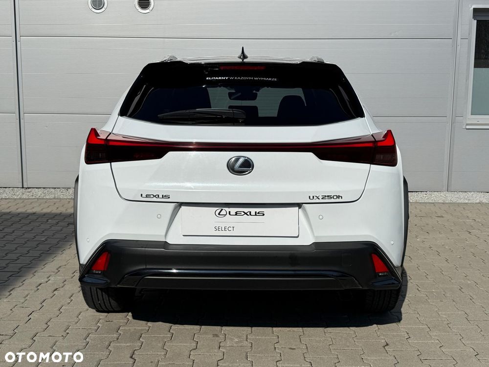 Lexus UX 250h GPF F Sport Design AWD - 14