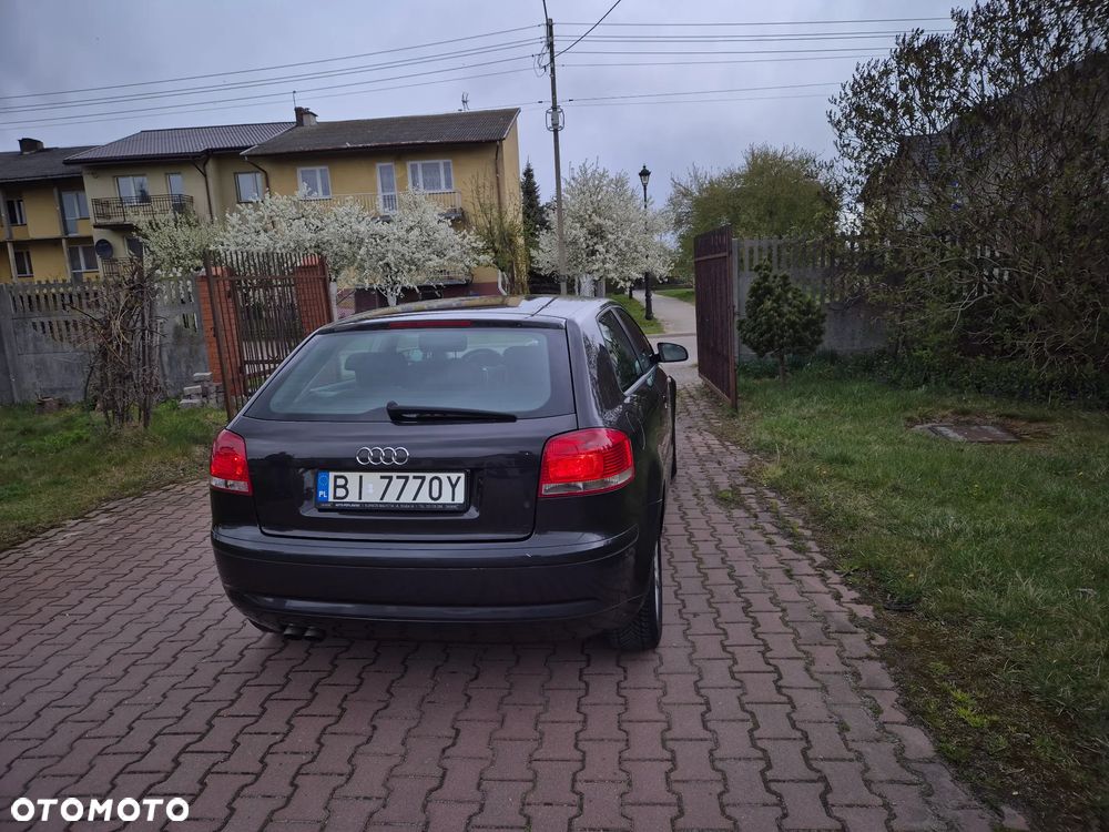 Audi A3 3-drzwiowe 1.9 TDI DPF Ambiente - 12