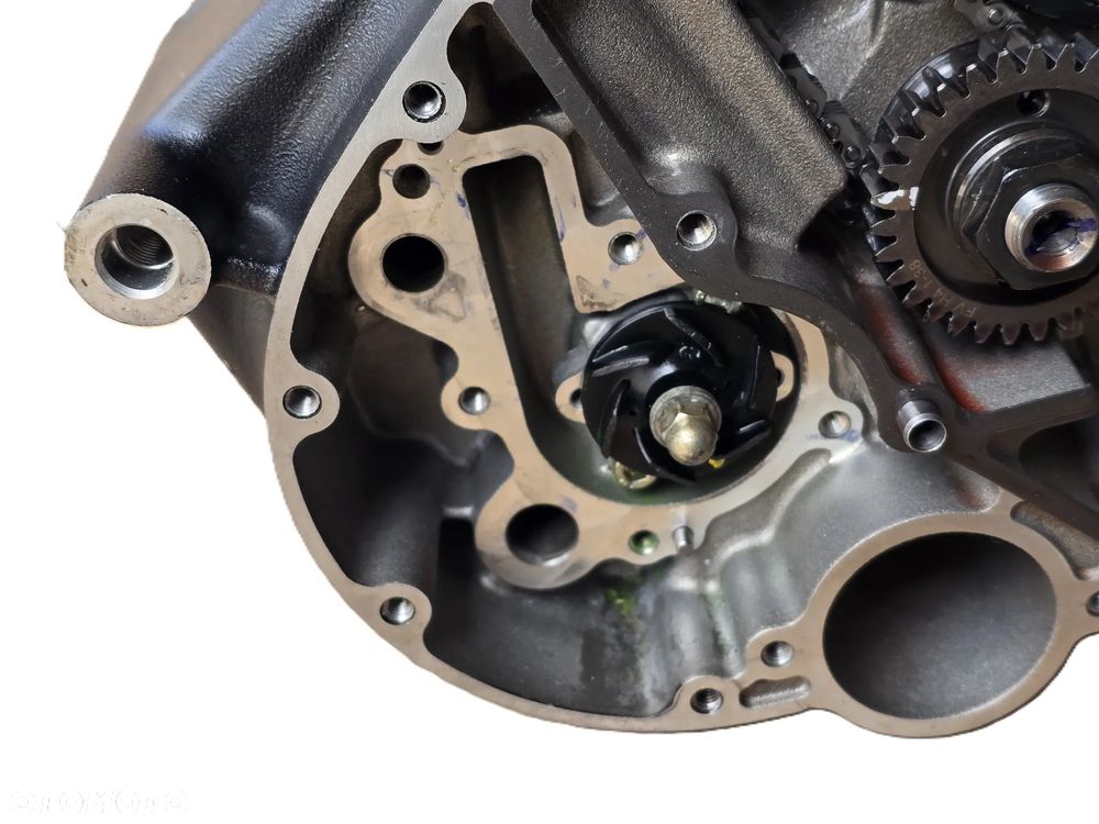 SILNIK TRIUMPH SPEED 400 SCRAMBLER - 4