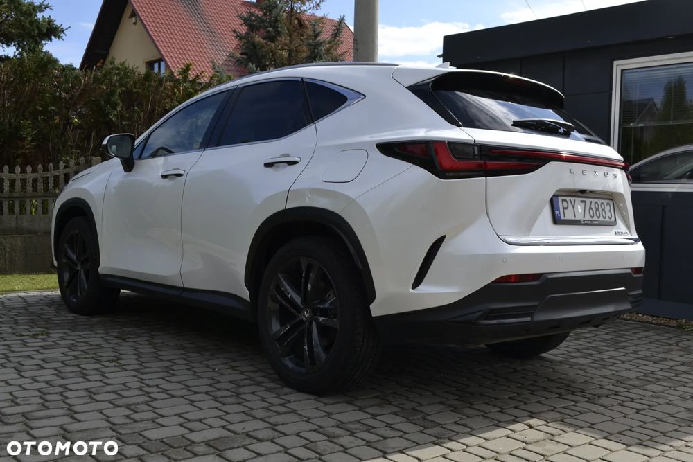 Lexus NX 350h Business AWD - 22