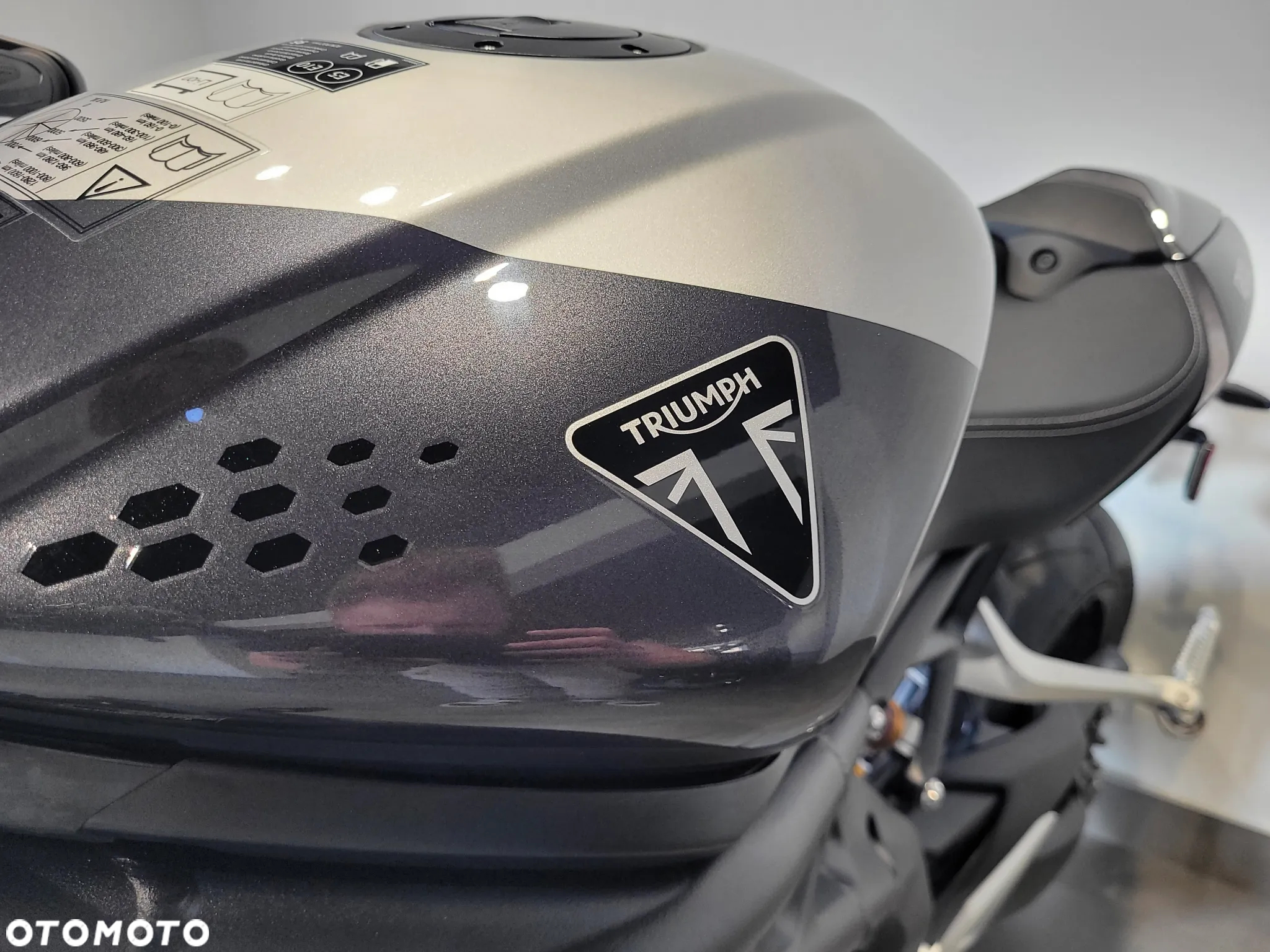 Triumph Speed Triple - 22