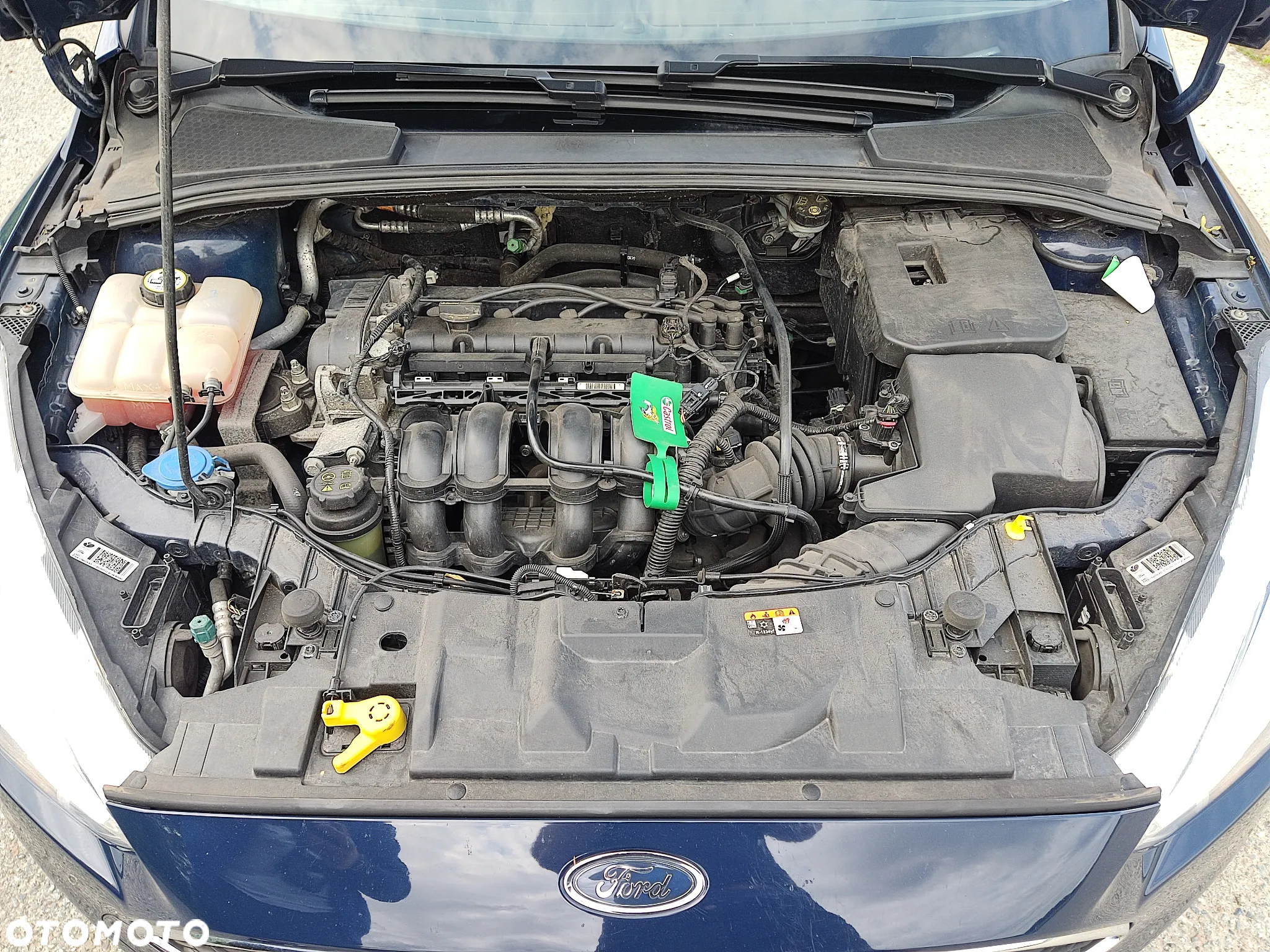 Ford Focus - 16