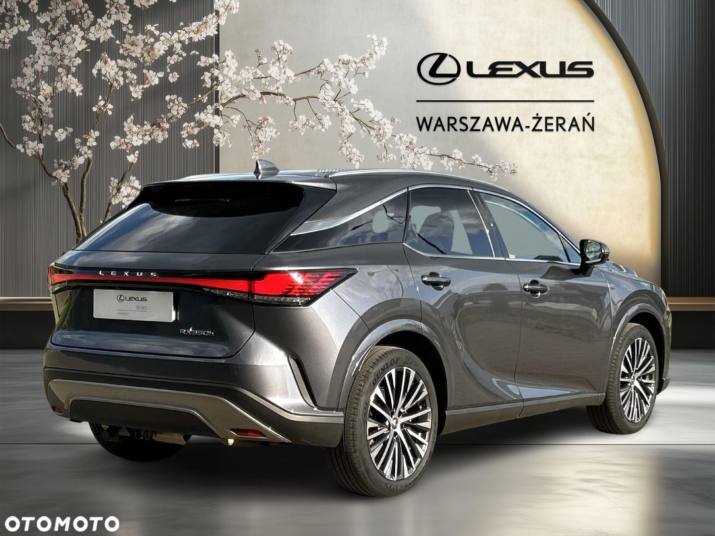 Lexus RX - 7