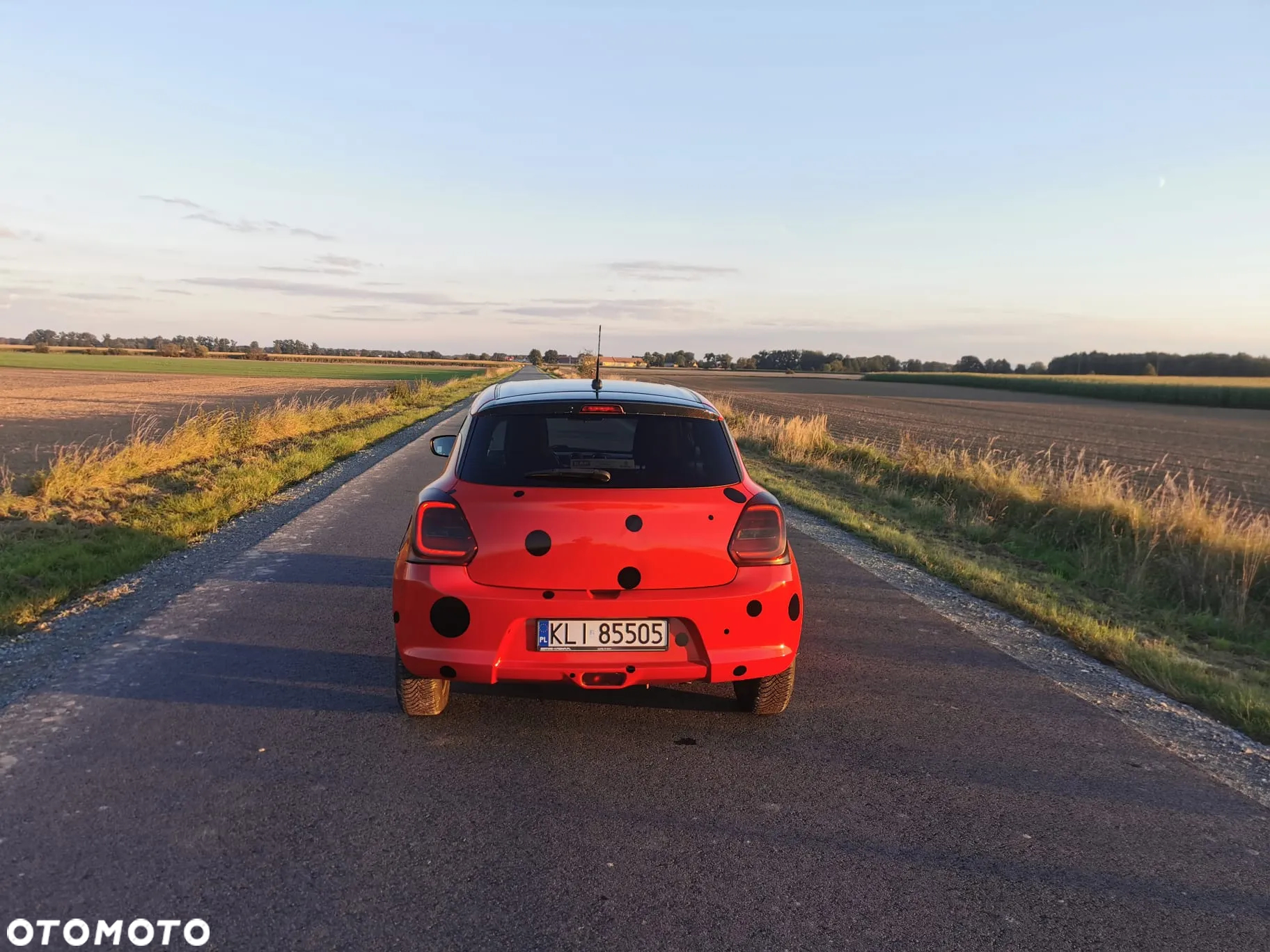 Suzuki Swift - 21