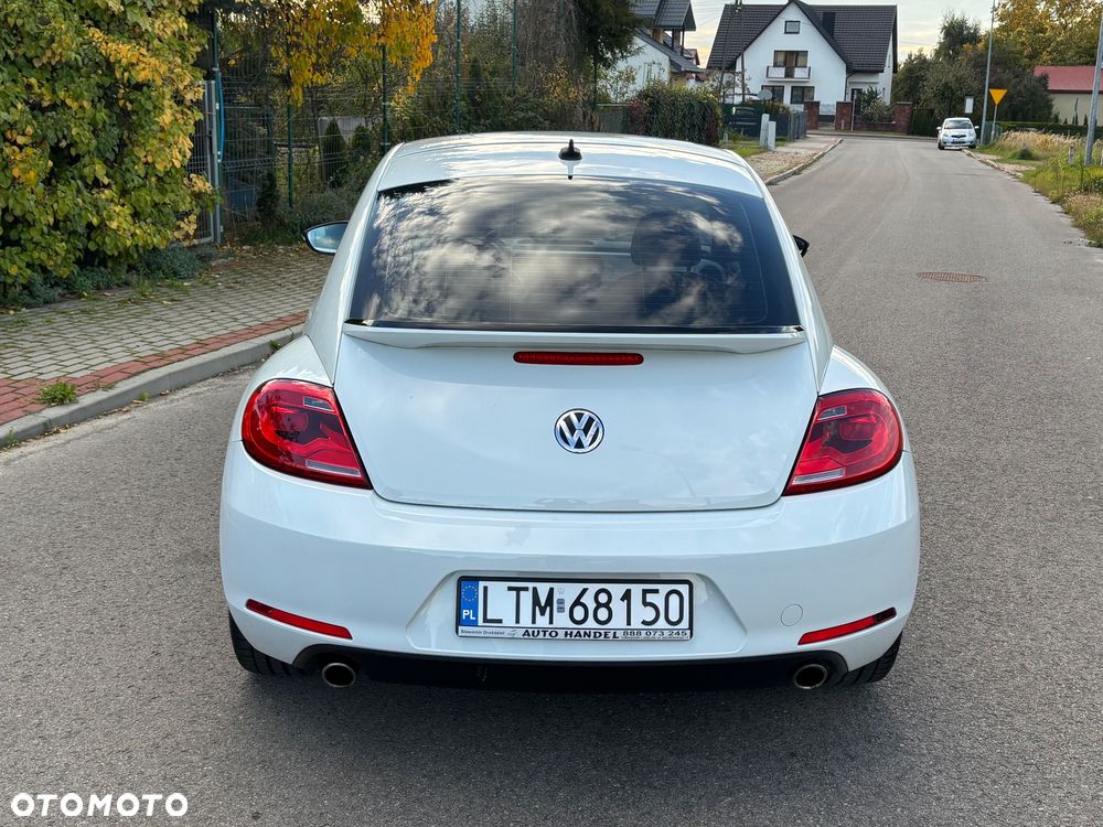 Volkswagen Beetle - 22