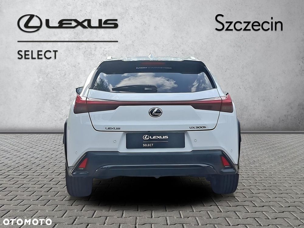 Lexus UX 300h F Sport Design - 4