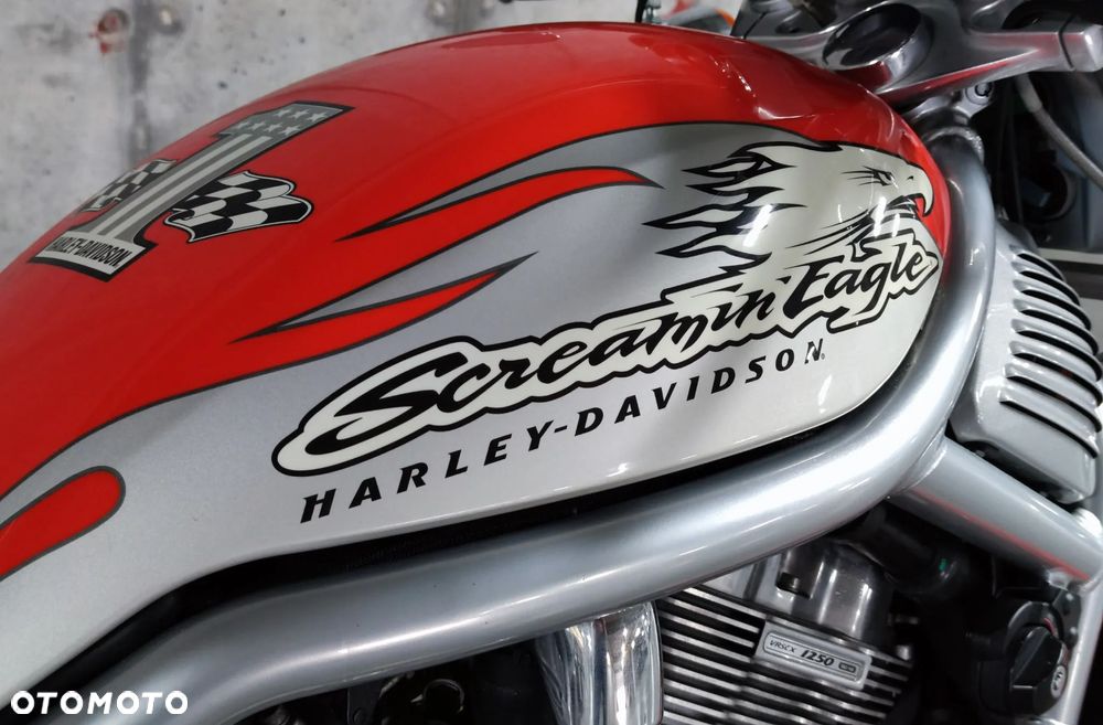 Harley-Davidson Softail V-Rod - 7