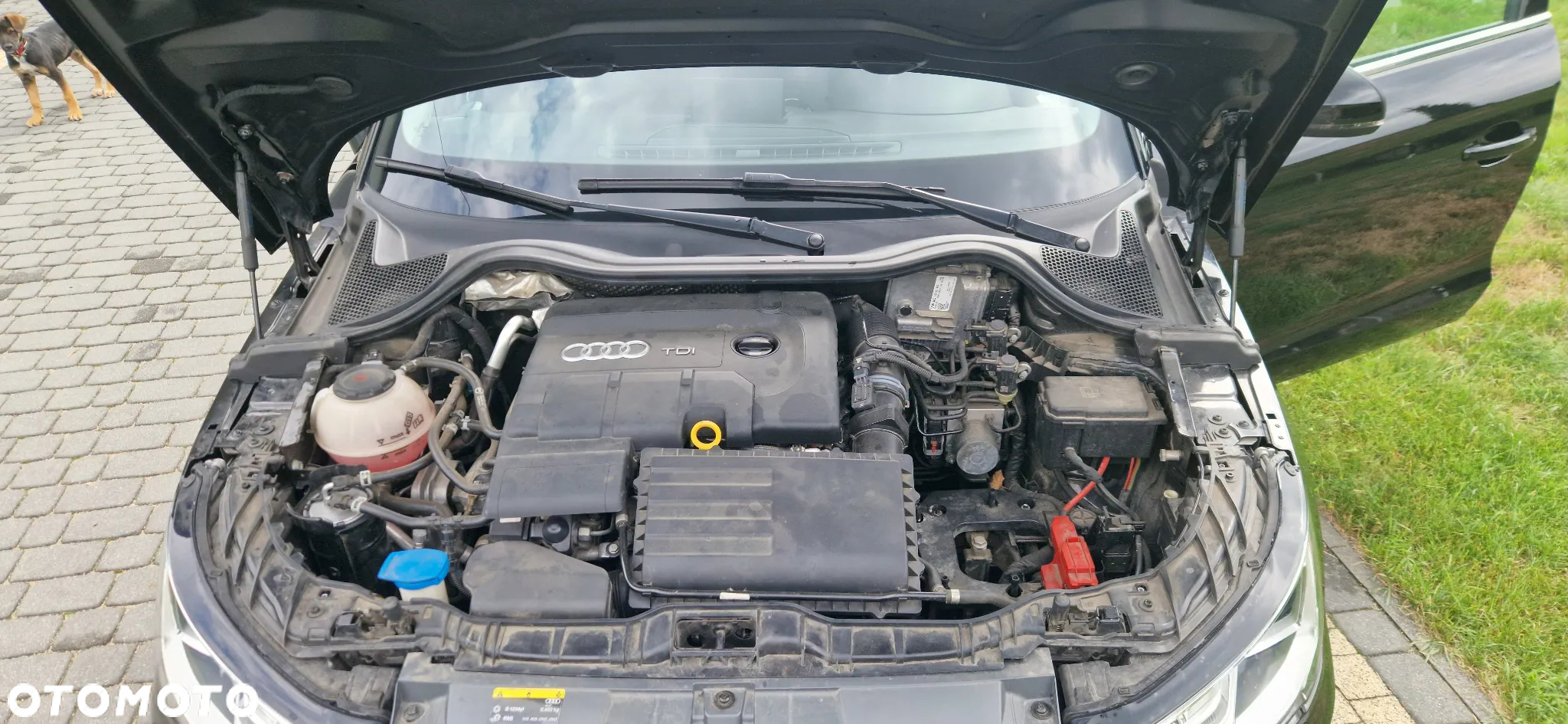 Audi A1 1.4 TDI (ultra) Sportback design - 9