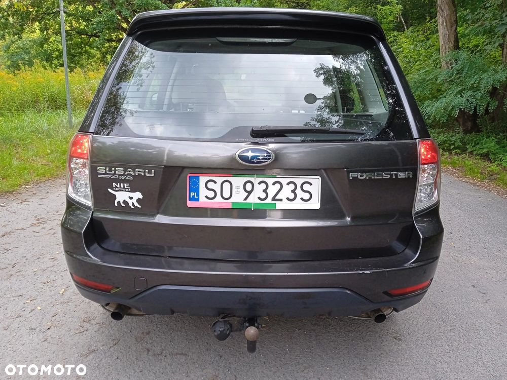 Subaru Forester - 16