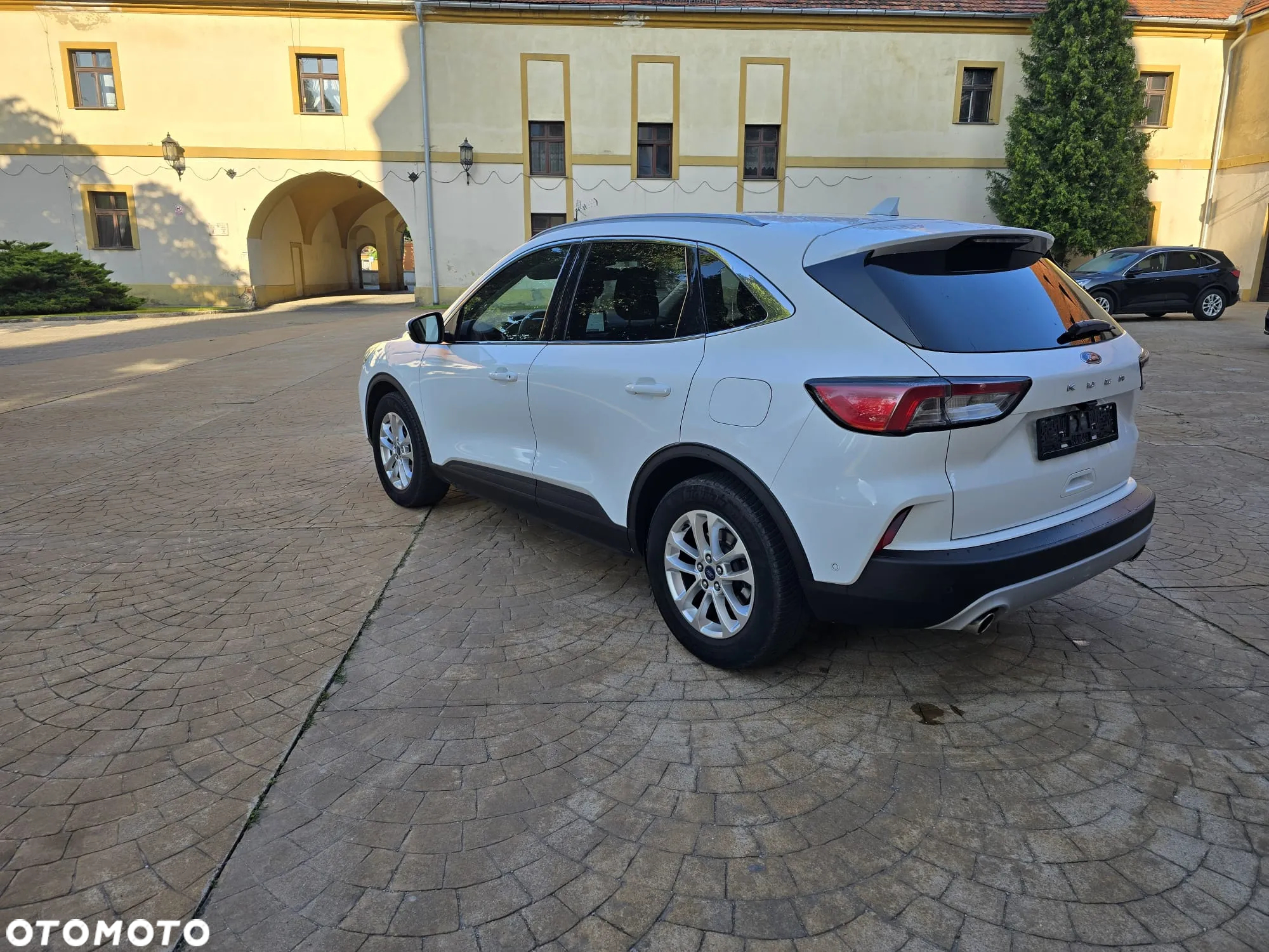 Ford Kuga 1.5 EcoBlue FWD Titanium - 24