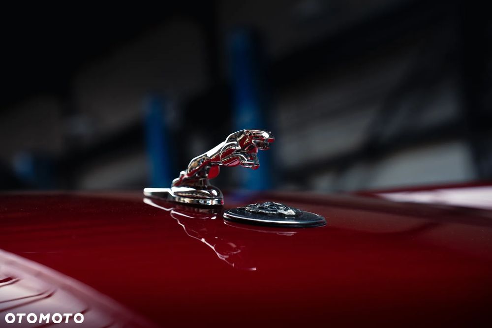Jaguar XJS - 11