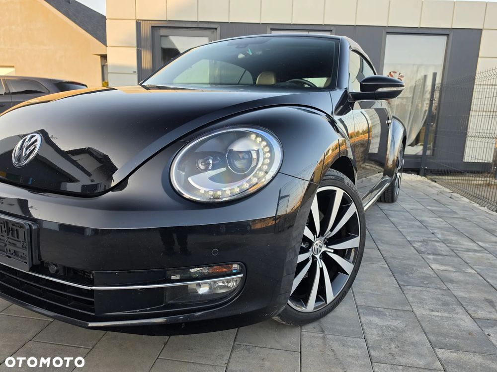 Volkswagen Beetle - 12