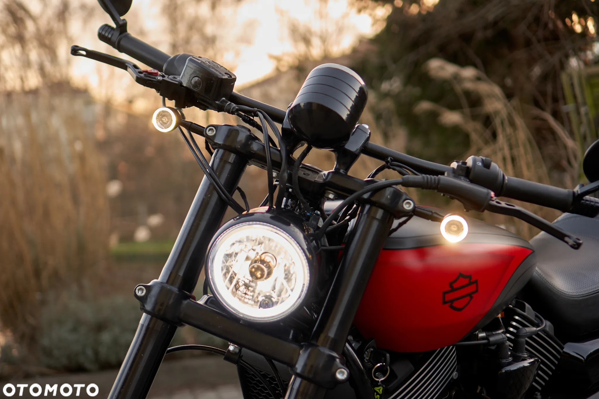 Harley-Davidson Street Rod XG 750A - 12