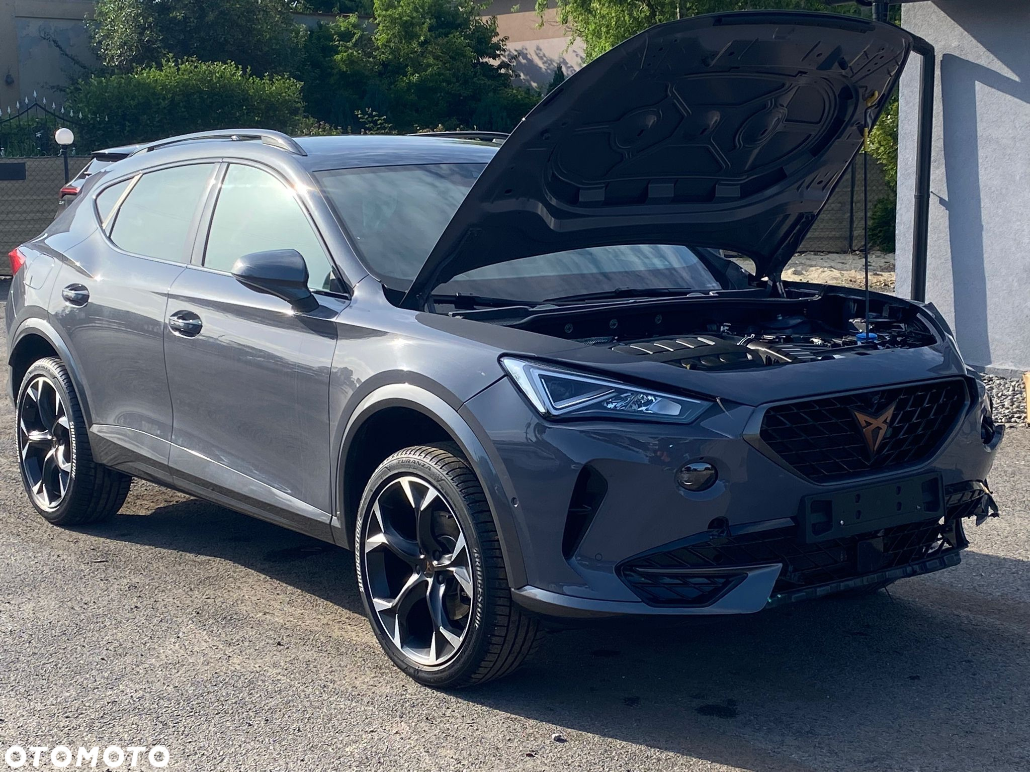 Cupra Formentor 2.0 TSI 4Drive DSG - 12