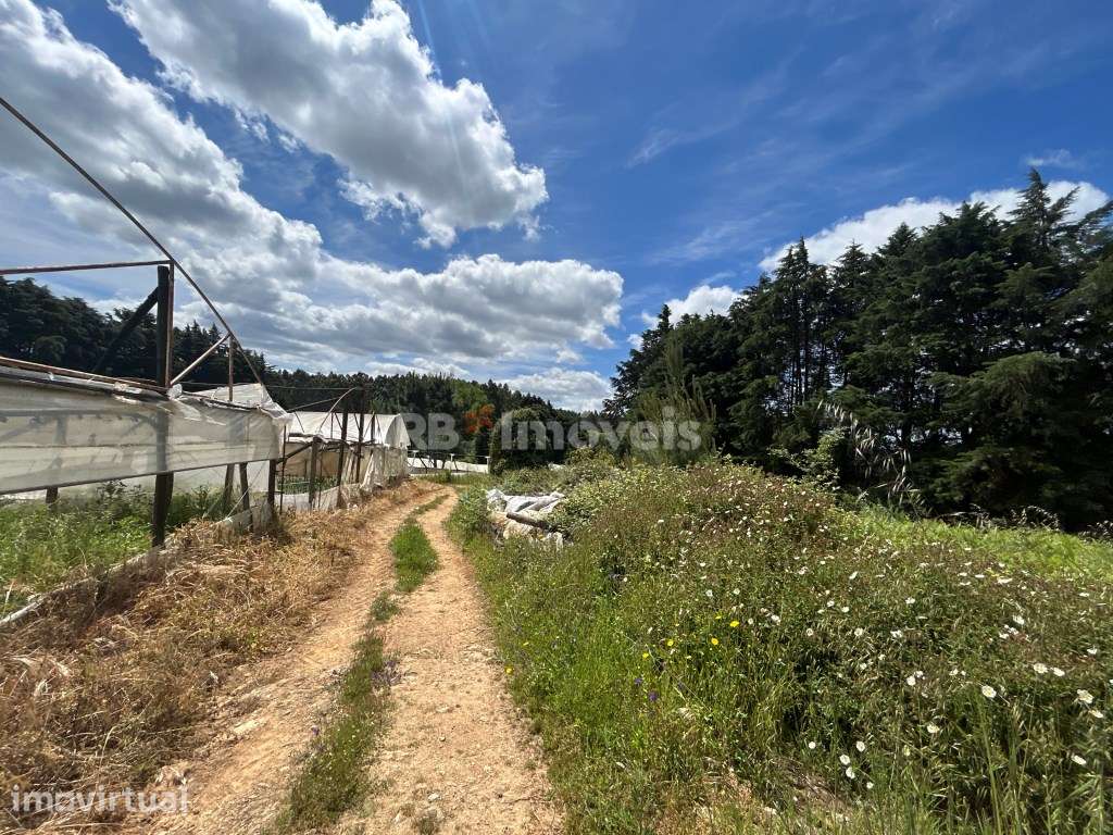 2 Terrenos com estufas - Pardielas, Ferreira do Zêzere - Grande imagem: 4/39