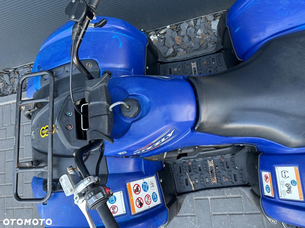 Yamaha Grizzly - 7