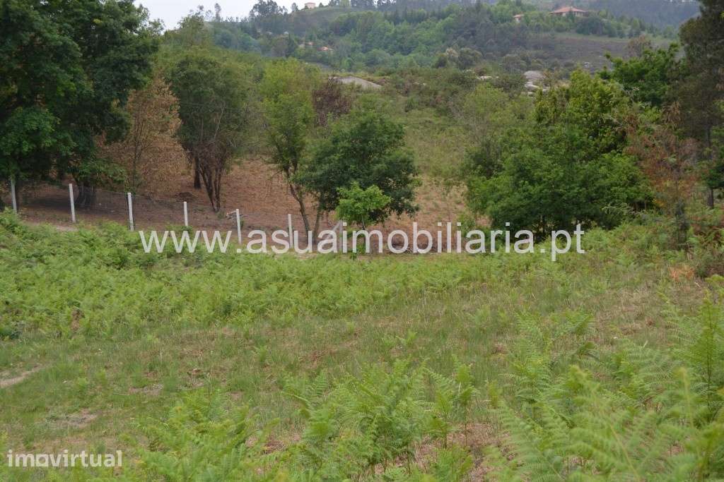 Terreno - Cerdeirinhas / Vieira do Minho - Grande imagem: 4/7